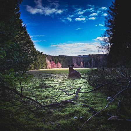 Fewo An Der Zwaens Stollberg Esterno foto