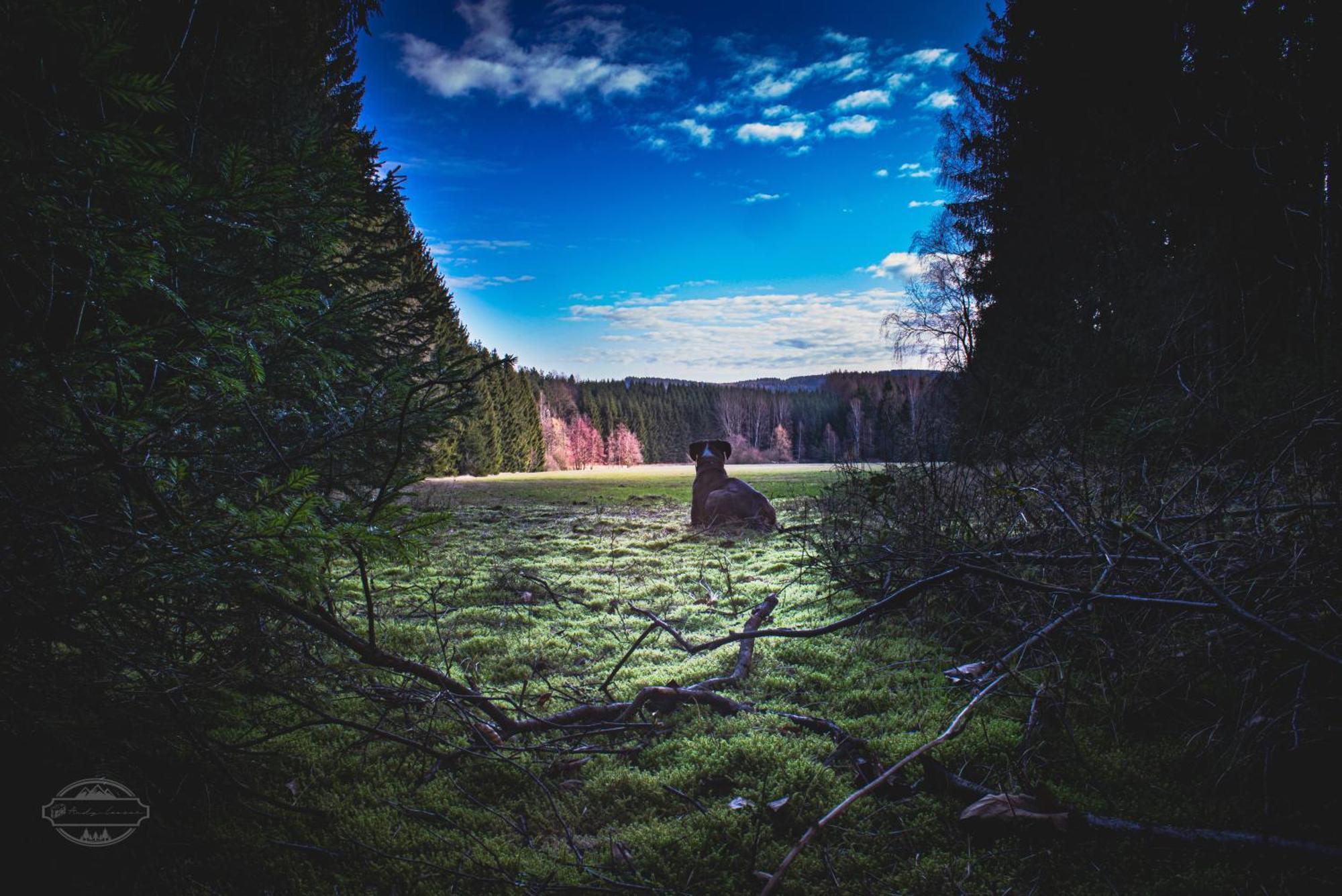 Fewo An Der Zwaens Stollberg Esterno foto